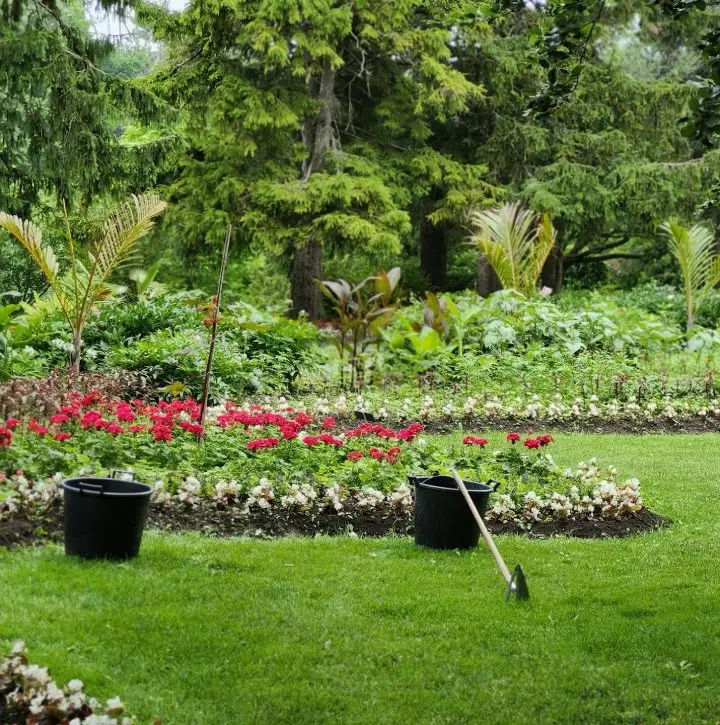 ZXT Landscapes | Landscaping Services Gauteng